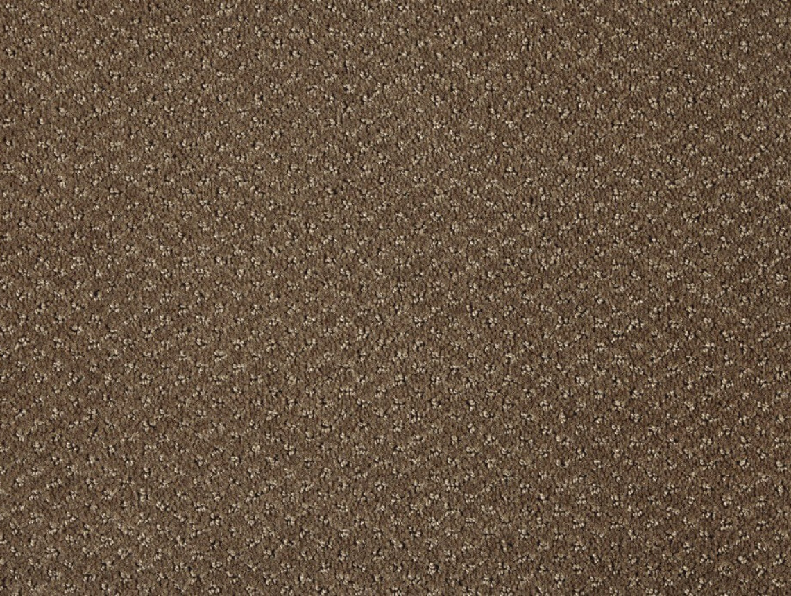 Carve Classic - 261-Beige-1